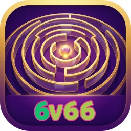 6v66