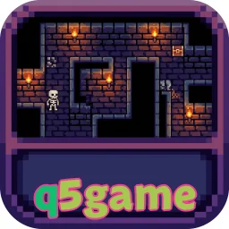 q5game